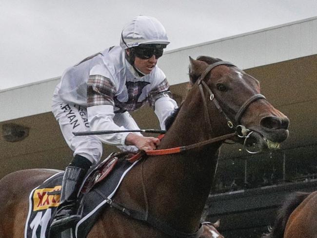 SYDNEY, AUSTRALIA - OCTOBER 30: Hugh Bowman on I'm Thunderstruck (white blinkers) wins race 7 the XXXX Golden Eagle during Sydney Racing at Rosehill Gardens on October 30, 2021 in Sydney, Australia. (Photo by Mark Evans/Getty Images)