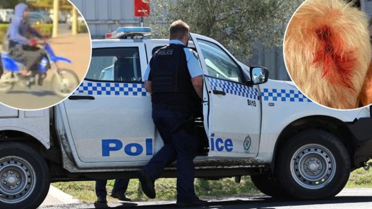 ‘It’s a joke’: Fix law to wipe smirk off young thugs’ faces