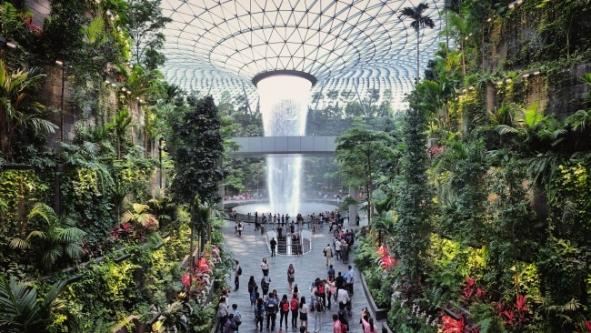 Layovers at Singapore Changi Airport: A Wild Adventure Awaits!