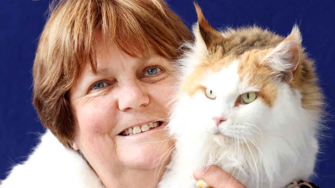 Self-confessed “crazy cat lady” Tracey Lamb with Vancy, a Maine Coon. Picture: Steve Pohlner