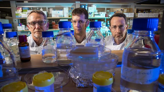 University of Queensland researchers involved in the development of a coronavirus vaccine. L-R, Professor Paul Young, Associate Professor Keith Chappell and Professor Trent Munro Photo: Glenn Hunt