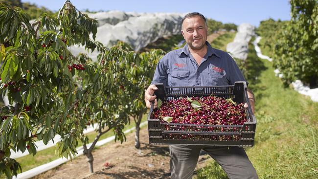 Ceravolo Orchards' Tony Ceravolo