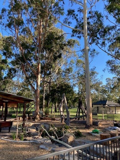 The branch that fell from a tree and hit a woman and her four-year-old daughter in Mount Barker's Keith Stephenson Park on Sunday, January 14, 2024. Picture: Supplied.