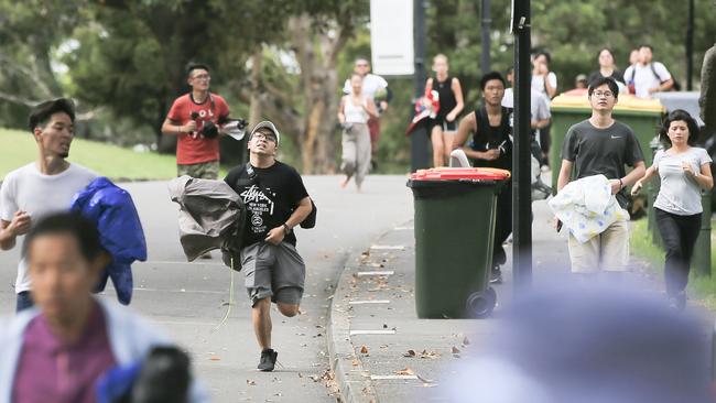 A man runs to get a prime location at Mrs Macquarie's Chair. Picture: Dylan Robinson