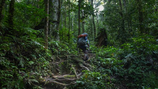 Porter Kipling Jnoto walking the Kokoda track in Papua New Guinea in August 2018 Picture: Brad Fleet