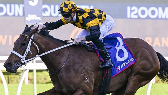 Joliestar wins at Royal Randwick in August last year. Picture: Bradley Photos