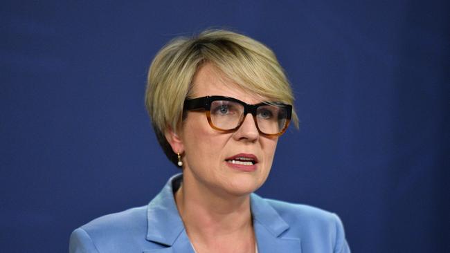 Deputy Leader of the Opposition Tanya Plibersek speaks about the report. Picture: AAP