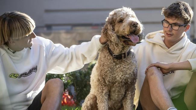 Melbourne Grammar School boarding students with resident pet.