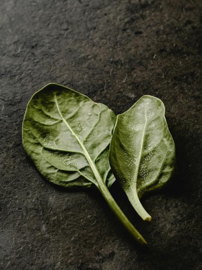 English spinach.