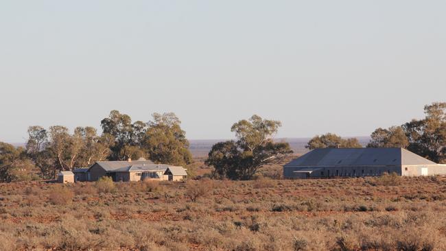 Moralana Station at Hawker, South Australia.