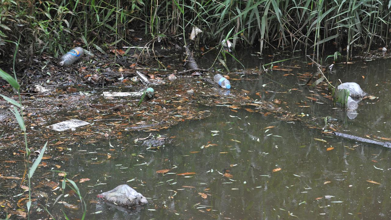 Calls to clean up Greendale Creek and Curl Curl Lagoon | Daily Telegraph