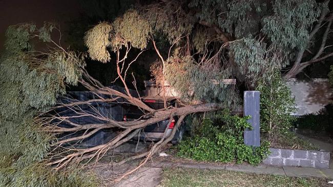 Sunbury SES crews were called out to 10 jobs for trees blocking roads and driveways and falling on houses.