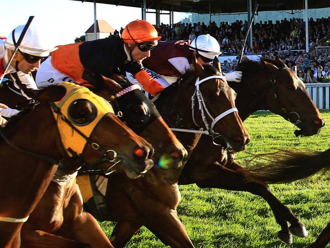 Landlocked, ridden by Glen Boss, wins the Wagga Wagga Gold Cup. pic Mark Evans