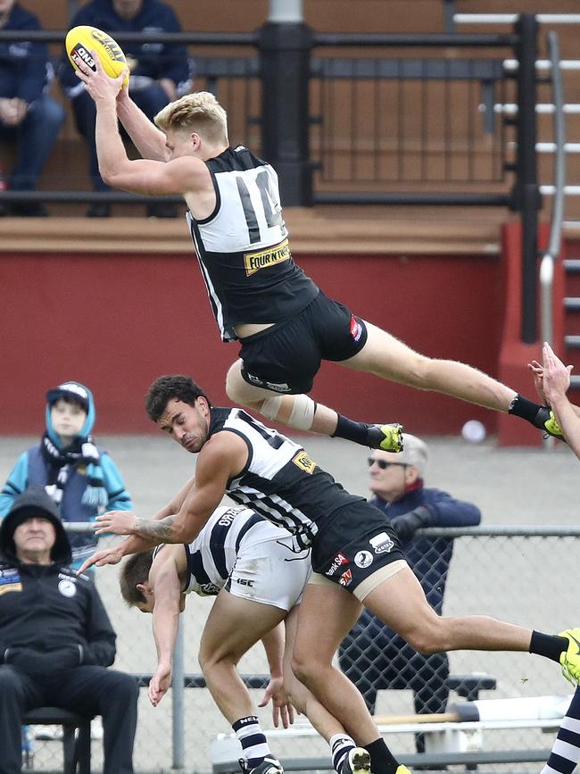 Port Adelaide’s Billy Frampton takes a screamer over team mate Brendon Ah Chee at Alberton in the SANFL. Picture Sarah Reed