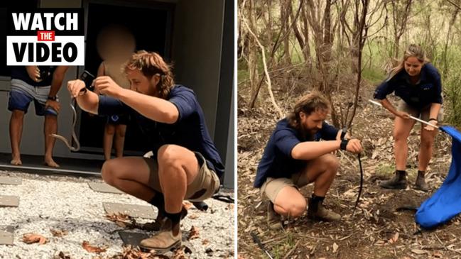 Elusive Red Belly Snake found in Sunshine Coast garden