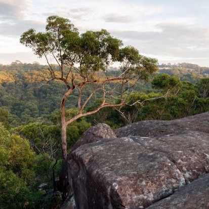 A view over the Lizard Rock land holding. Picture: Metropolitan Local Aboriginal Land Council