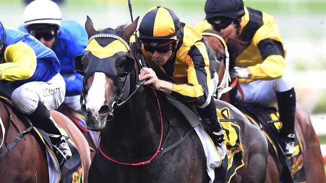 Trapeze Artist is favourite for the $13m The TAB Everest. Picture: AAP
