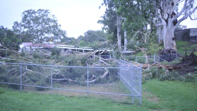 A racehorse was killed when large branches fell into one of the stables adjacent to the racecourse from damaging winds in a severe thunderstorm at Grafton on Thursday, 23rd January, 2020