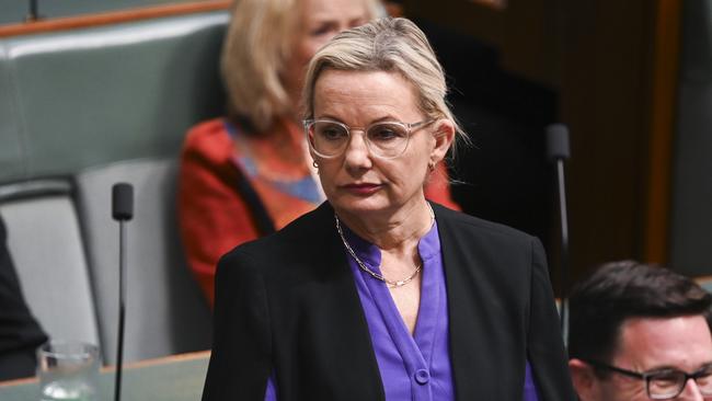 Sussan Ley has been leading the Coalition's attacks on the Makarrata commission. Picture: NCA NewsWire / Martin Ollman