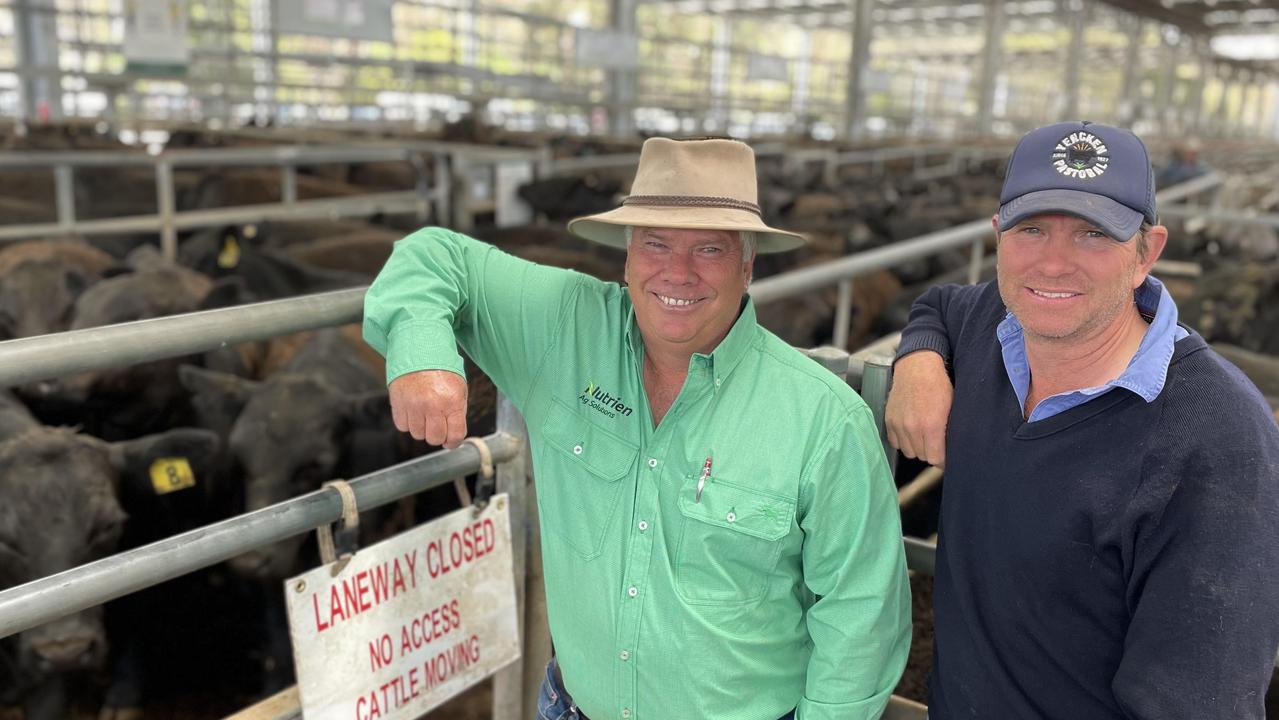 Yea store sale: Victorian weaner sales kick off with strong cattle ...