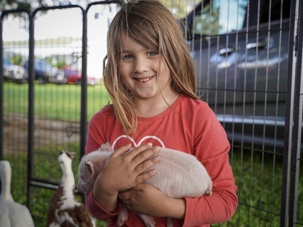 Amity Croswell, 6, of Airlie Beach, enjoying some cuddle time with week-old piglet Paxton from MAD Animal Addiction. Picture: Heidi Petith