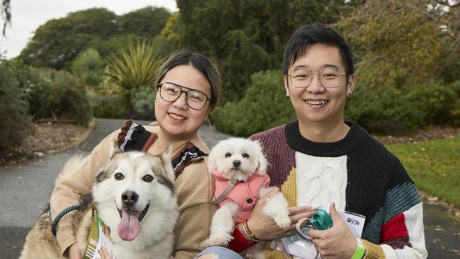 Million Paws Walk at Adelaide Botanic Gardens. Picture: Matt Loxton