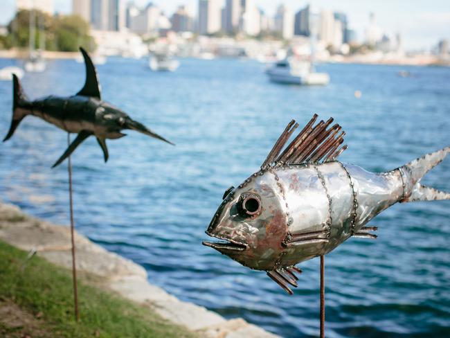 Two of the fish in the School of Fish which won the secondary school prize for Braidwood Central School at the Sculpture at Sawmillers at McMahons Point.