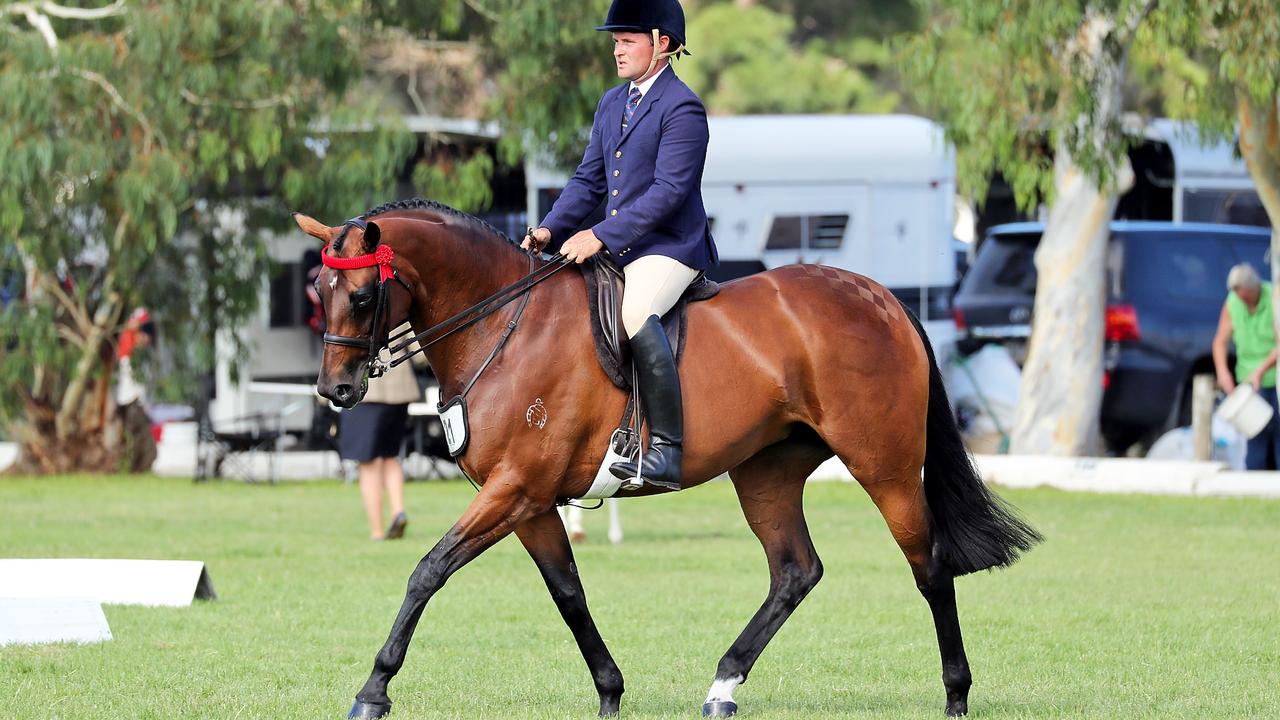 Horses: Equestrian Victoria Revives Summer Horse Show | The Weekly Times