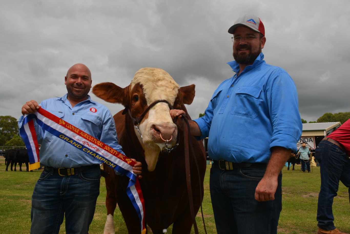 Marty Rowlands from KBV Simmental Stud and Stephen Lean with KBV Penfold a.k.a Penny, the Grand Champion European Bull at the 71st annual Cooyar Show. Picture: Kate McCormack