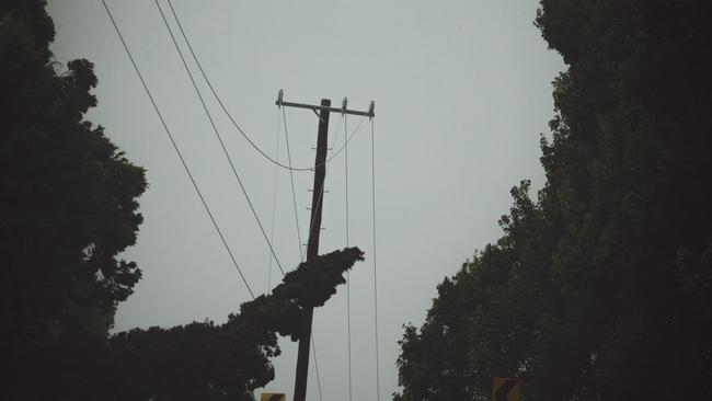 Trees threaten powerlines in the Byron Bay hinterland after heavy rain on Thursday night. Picture: NewsWire / Glenn Campbell