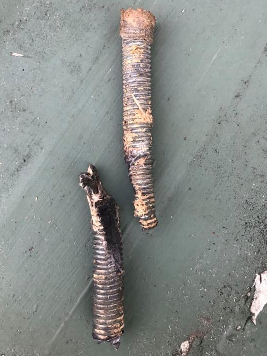 A metal spike found in logs in Tasmania. Picture: Facebook