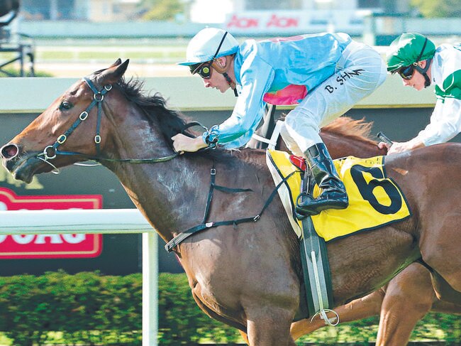 Race 5 - Blake Shinnl rides Snippets Land to win race 5 at Doomben - Doomben Cup raceday. Photo Mark Cranitch.