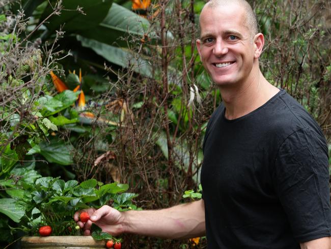 Chef Ed Halmagyi picking strawberries at home.