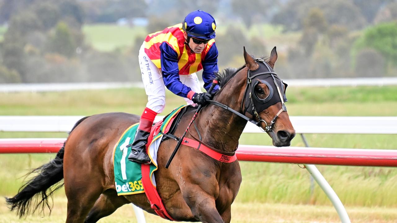 Heberite is the second favourite to give trainers Ciaron Maher and David Eustace another triumph in Sunday's $300,000 Jericho Cup over the marathon 4600m trip at Warrnambool. Picture :  Racing Photos via Getty Images.