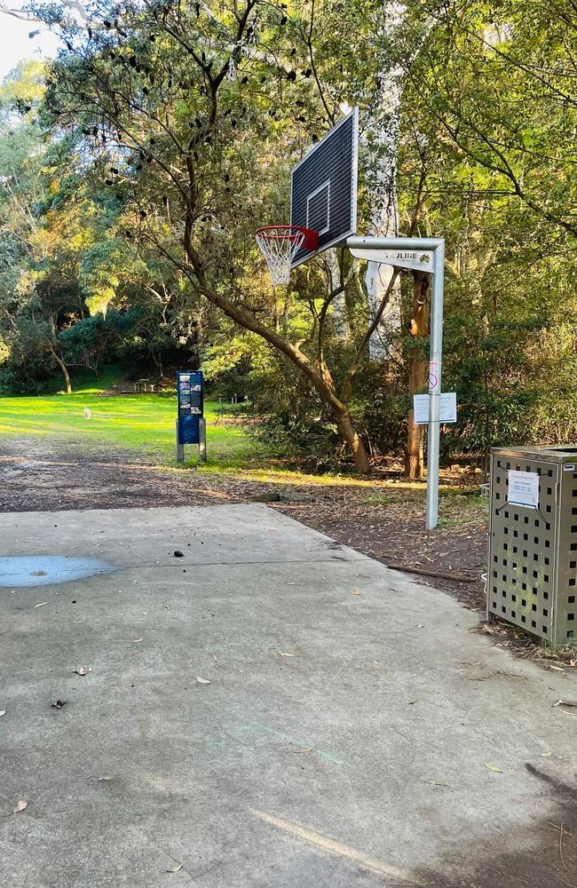 Residents are campaigning to have a new mini court plan abandoned. Picture: Supplied