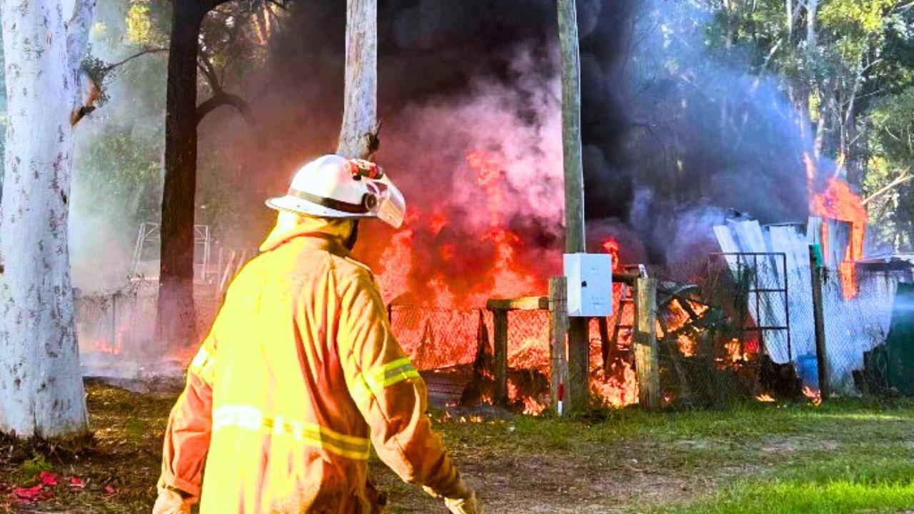 Dog trainer suffers burns and loses home, pets in island blaze