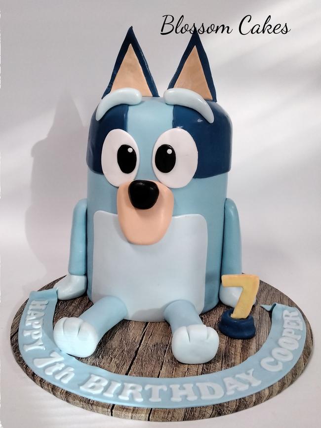 Bluey cake by Blossom Cakes, Aberfoyle Park.