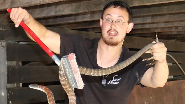 Mark Pelley caught a record 558 snakes across the Diamond Valley region last summer.