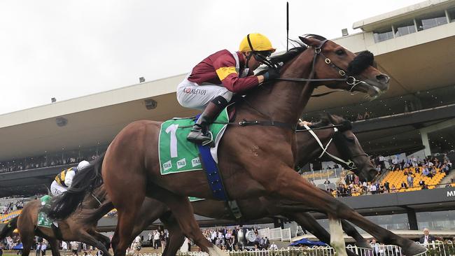 Huetor is aiming to stay unbeaten in Australia. Picture: Getty Images