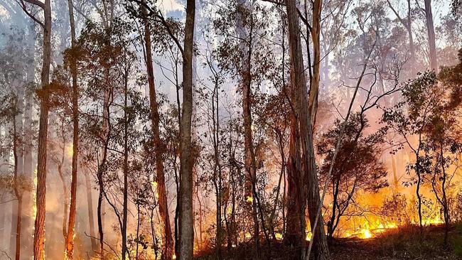 Country Fire Authority says there had been more than 220 grassfires and bushfires across Victoria since Saturday. Picture: Country Fire Victoria