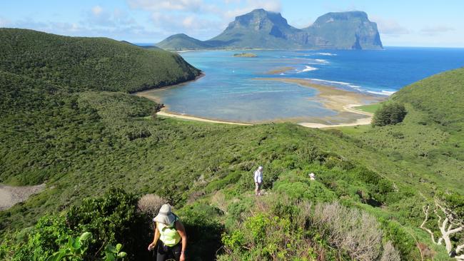 Climbing Mount Eliza, Lord Howe Island walk. Picture: Lee Atkinson