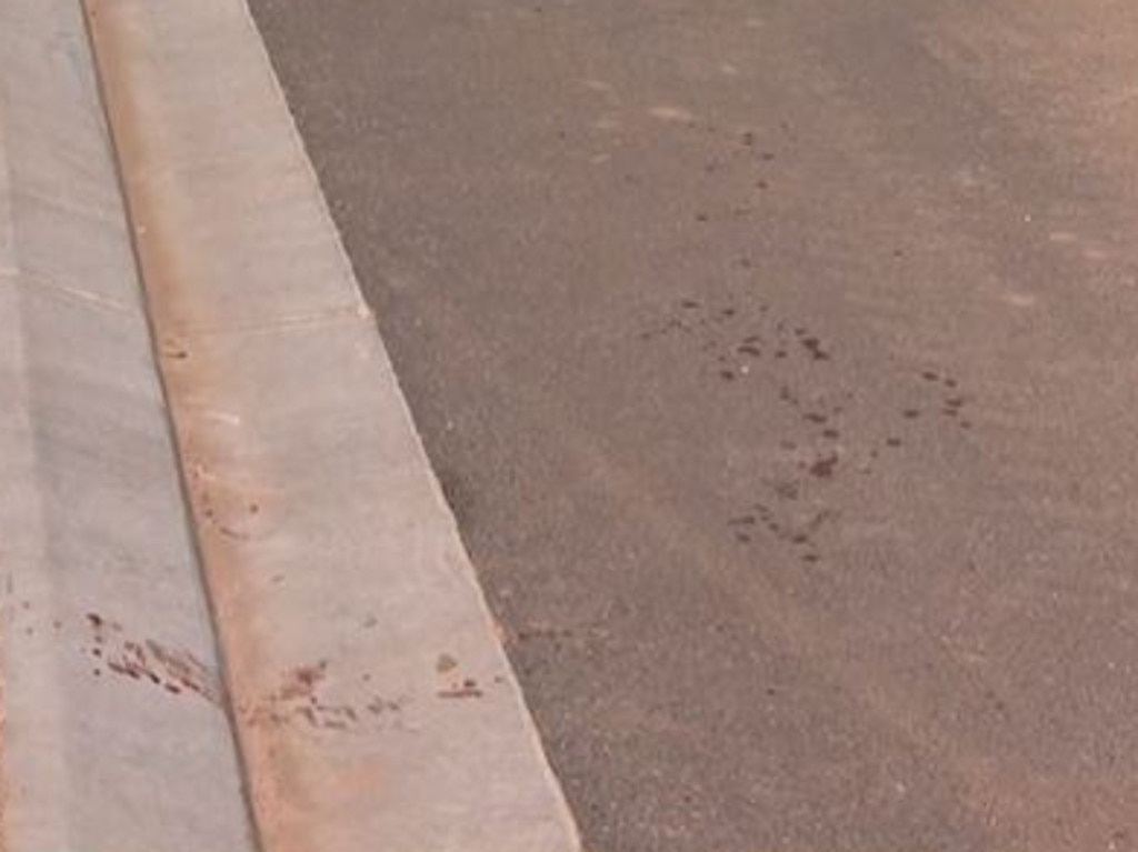 Blood at the scene in Gawler South where a dog was seized after attacking a 30-year-old woman. Picture: Nine News