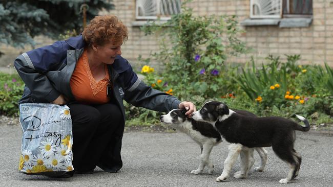 Admin worker Lyudmila Ivanovna greets stray puppies inside the exclusion zone. Picture: Sean Gallup/Getty Images