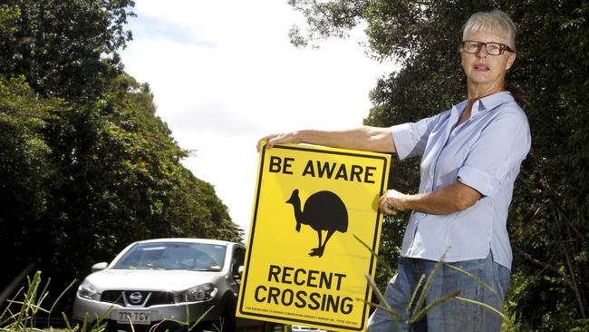 Kuranda resident Jax Bergersen is worried about cassowaries on the Kuranda Range.