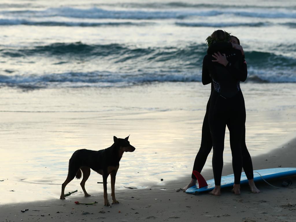 Ellidy Vlug's kelpie Rummi on the beach during a paddle out.