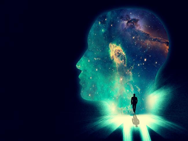 Steve Biddulph says better understanding the way our brains work, and tapping into our Wild Creature Mind is key to overcoming the anxiety that plagues modern society. Picture: Istock