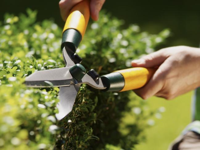 Kitiona allegedly Wielded a pair of garden shears at Cabramatta police station. Picture: iStock.