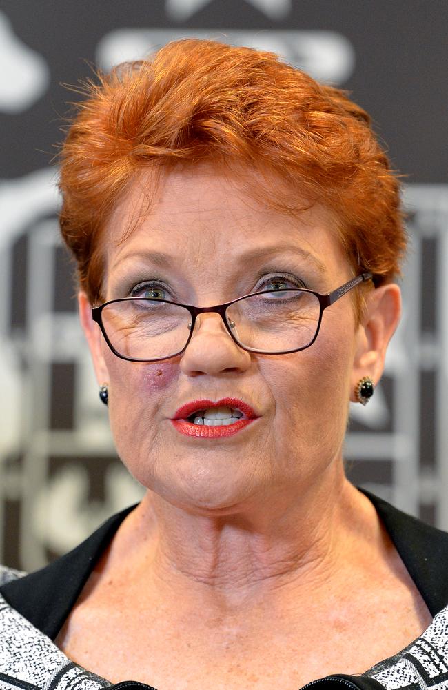 One Nation leader Pauline Hanson was ranked untrustworthy by 33 per cent of voters. Picture: Getty