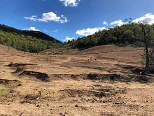 DRY SPELL: Tenterfield's town water supply is running low. Picture: Zoe Lederhose