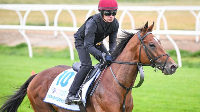 The Aidan O’Brien trained Jan Brueghel ridden by Dean Gallagher during trackwork. (Photo by Reg Ryan/Racing Photos via Getty Images)